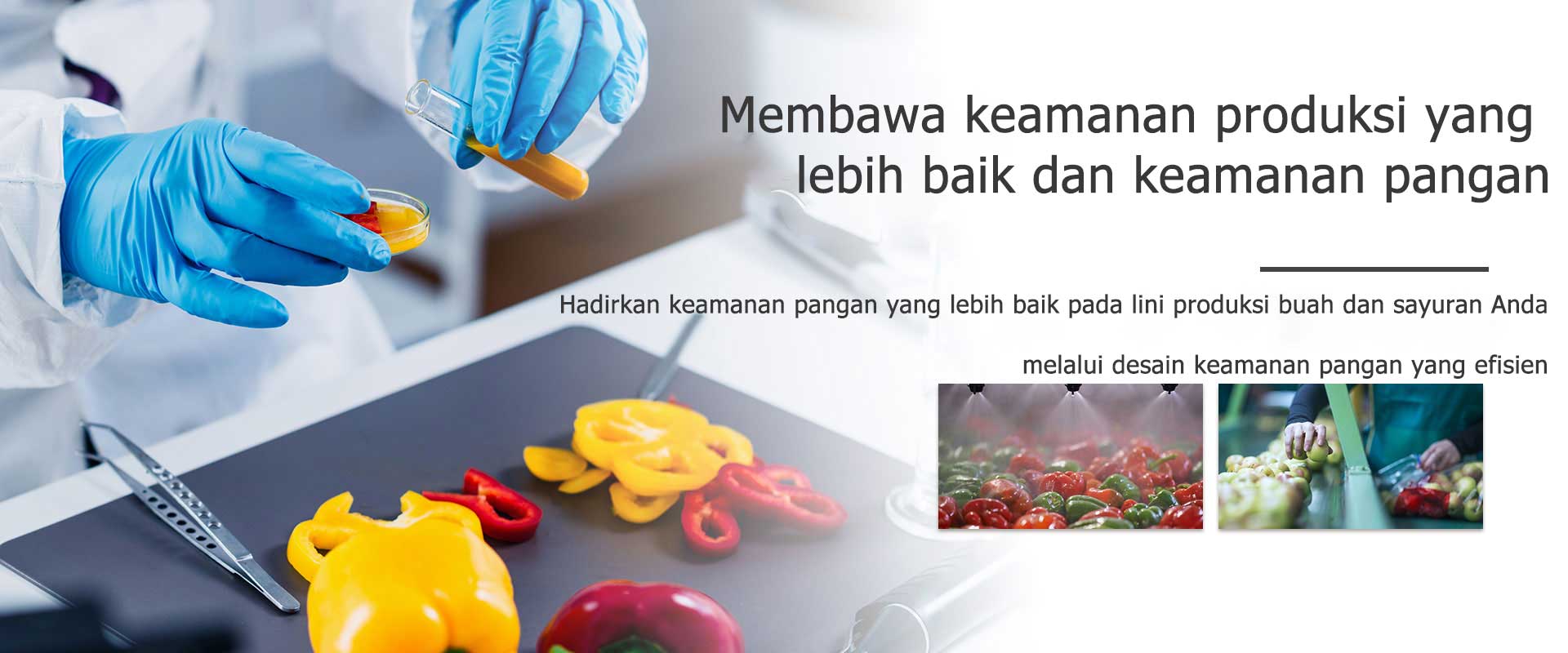 MEMBAWA KESELAMATAN PRODUKSI DAN KESELAMATAN PANGAN YANG LEBIH BAIK 