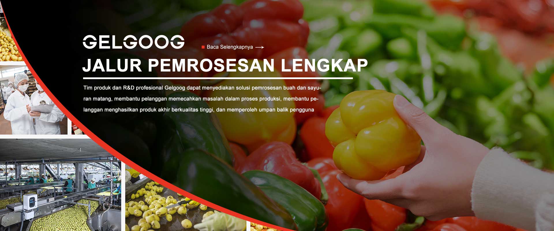 Lini pemrosesan lengkap GELGOOG